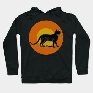 Halloween Black Cat, Signs and Sumbols - Black, Orange and Ochre Hoodie